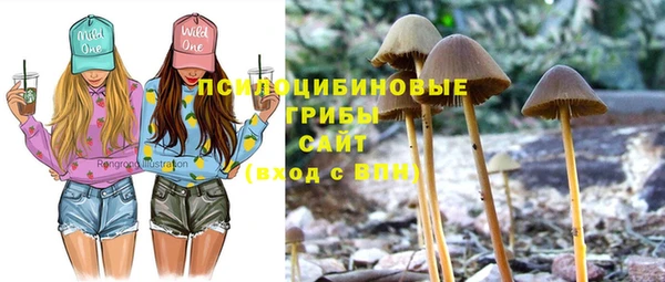 бутират Арсеньев
