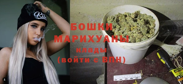 шишки Армянск